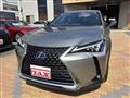 2020 Lexus Other