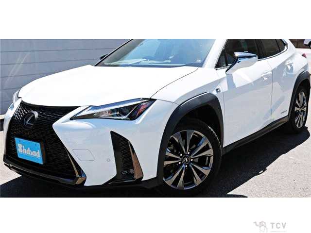 2020 Lexus Other