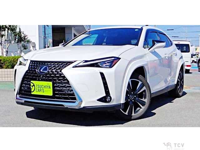 2020 Lexus Other