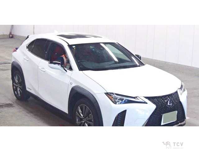 2020 Lexus Other