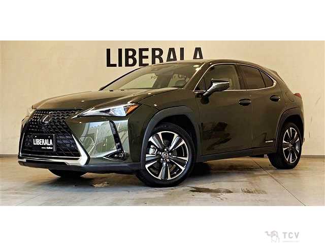 2020 Lexus Other