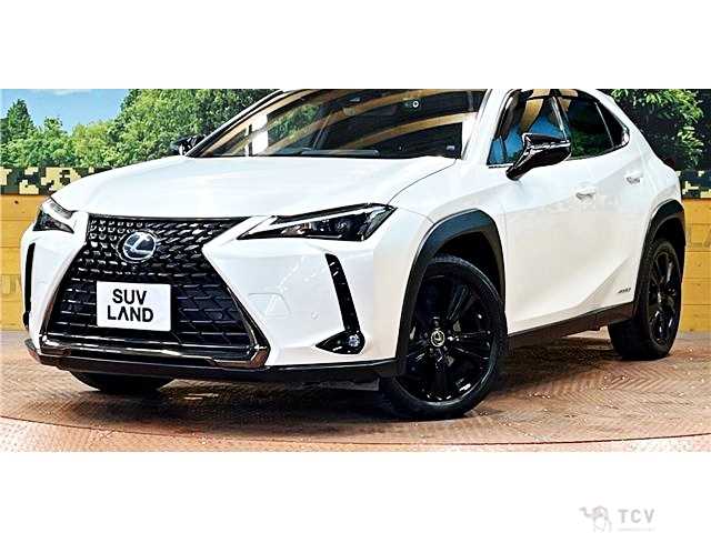 2020 Lexus Other