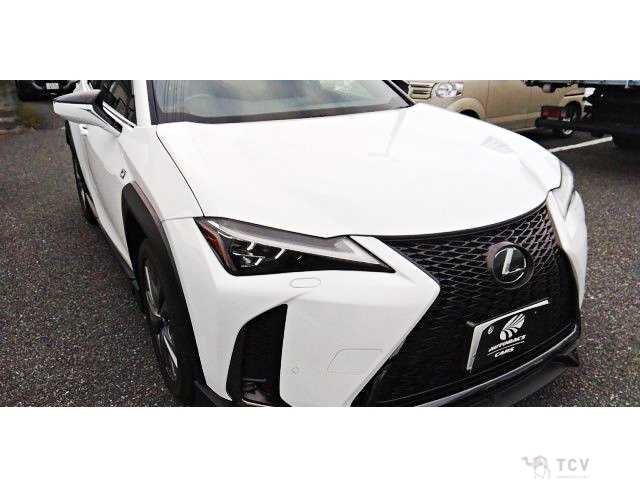 2020 Lexus Other