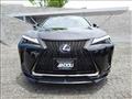 2020 Lexus Other