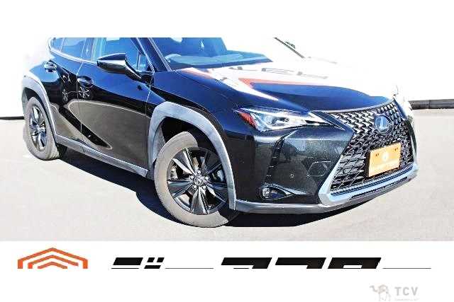 2019 Lexus Other