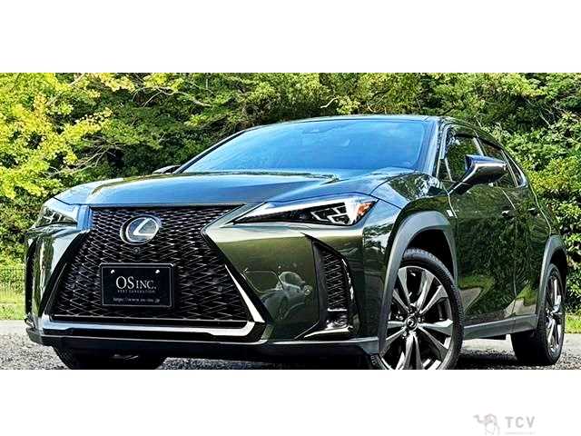 2019 Lexus Other