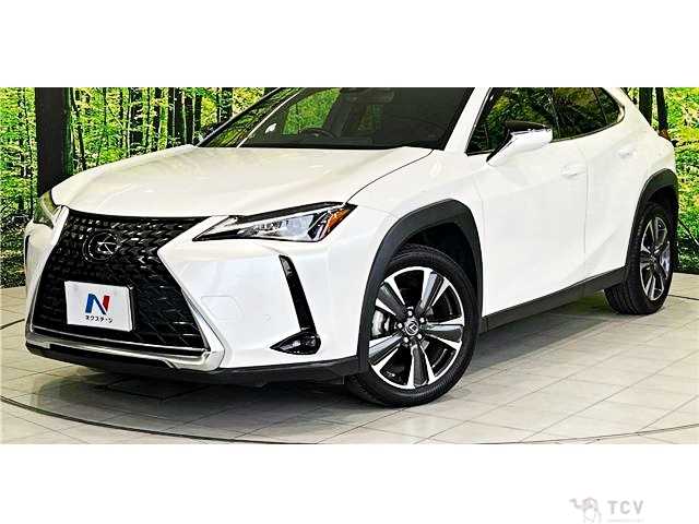 2019 Lexus Other
