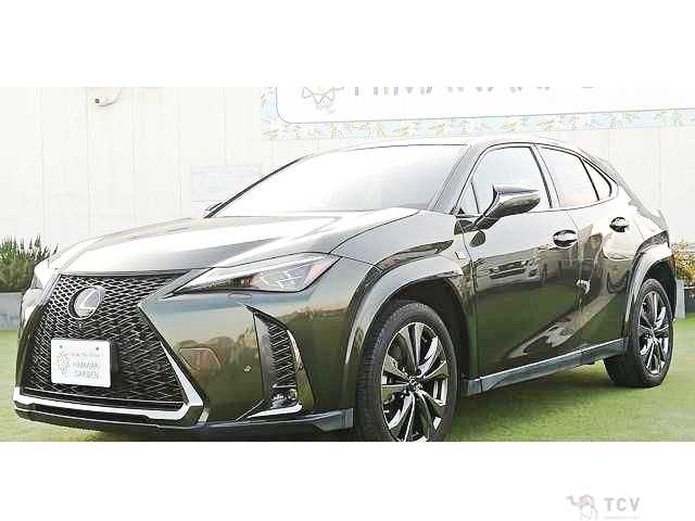 2019 Lexus Other