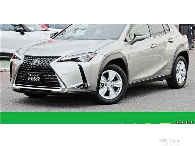 2019 Lexus Other