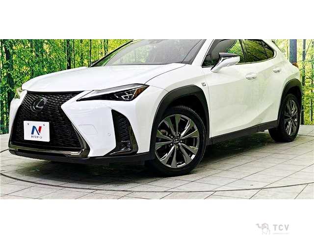 2019 Lexus Other