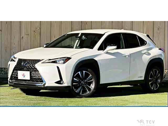 2019 Lexus Other