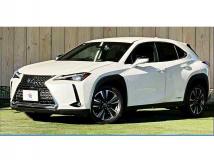 2019 Lexus Other