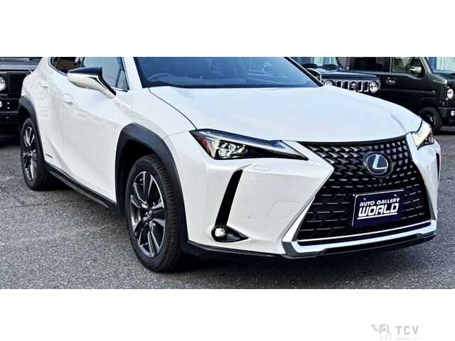 2019 Lexus Other