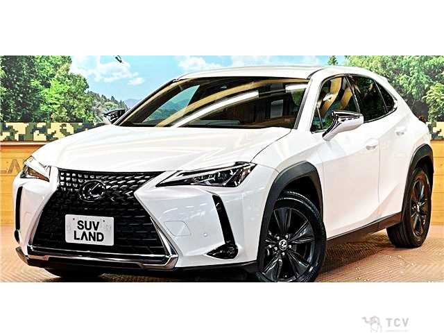 2019 Lexus Other