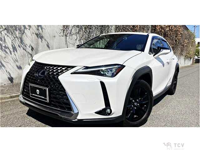 2019 Lexus Other