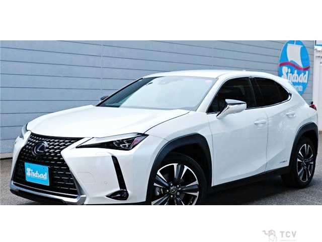 2019 Lexus Other