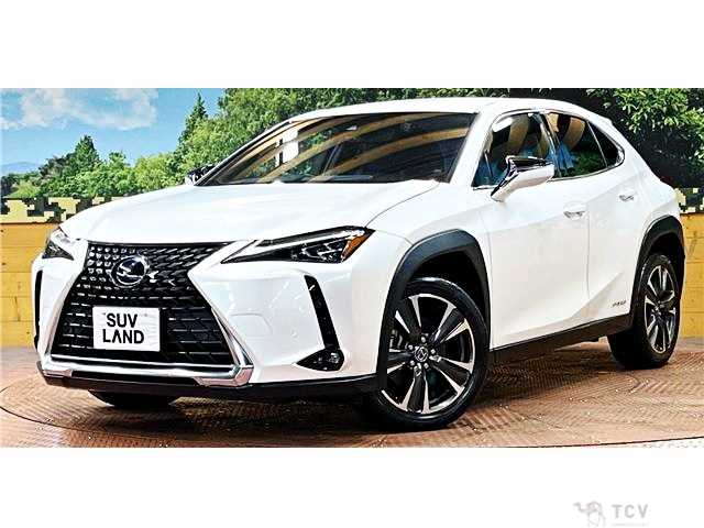 2019 Lexus Other