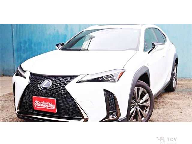 2019 Lexus Other