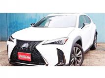 2019 Lexus Other