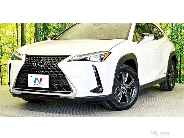 2019 Lexus Other