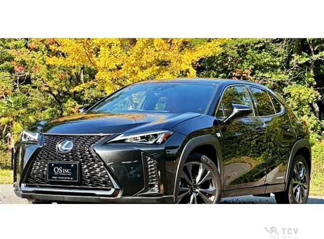 2019 Lexus Other