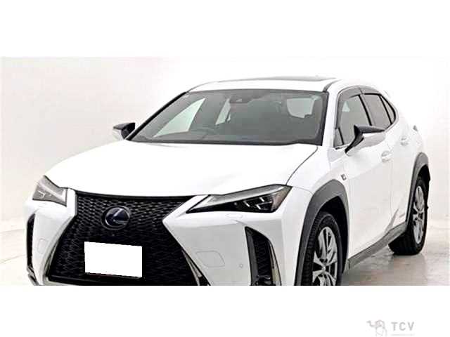 2019 Lexus Other