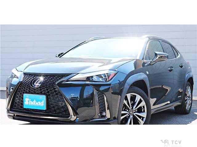2019 Lexus Other