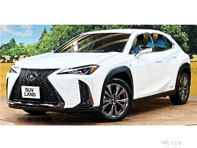 2019 Lexus Other