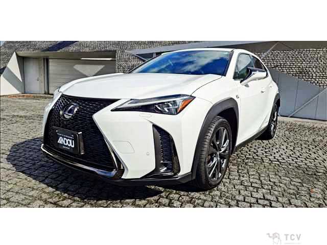2019 Lexus Other