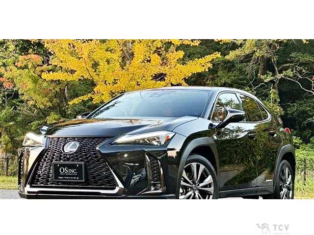 2019 Lexus Other