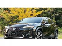 2019 Lexus Other