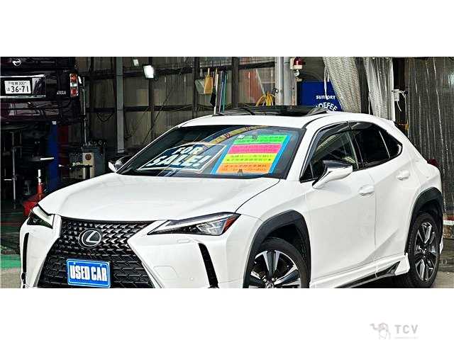 2019 Lexus Other