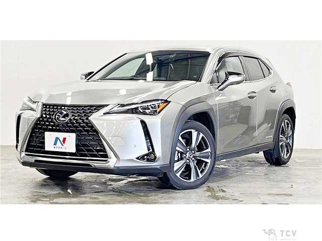 2018 Lexus Other