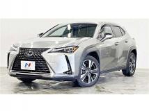 2018 Lexus Other