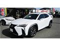 2018 Lexus Other