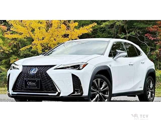 2018 Lexus Other