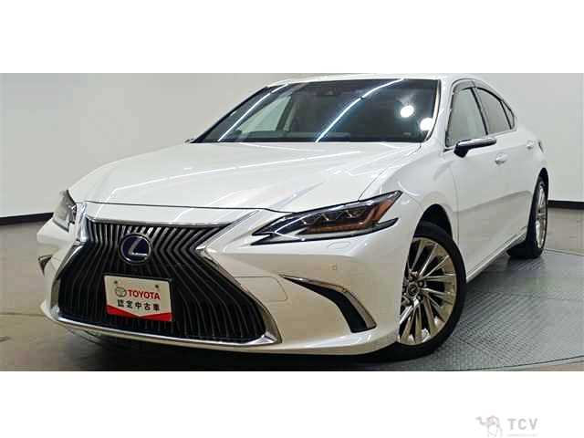 2020 Lexus ES