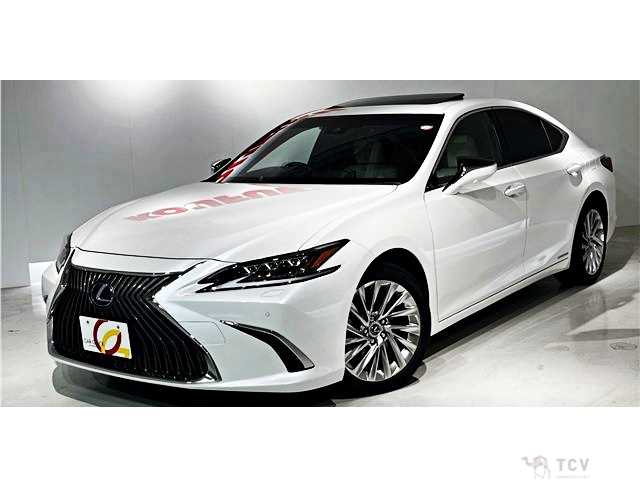2020 Lexus ES