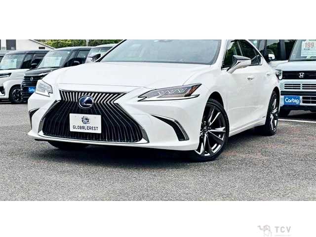 2020 Lexus ES