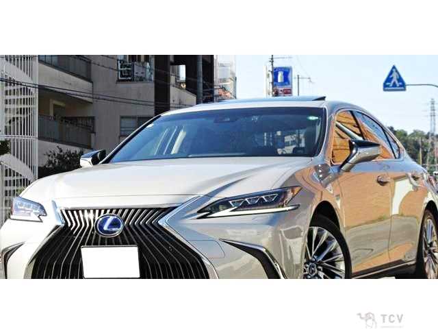 2019 Lexus ES