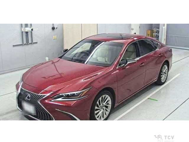 2019 Lexus ES