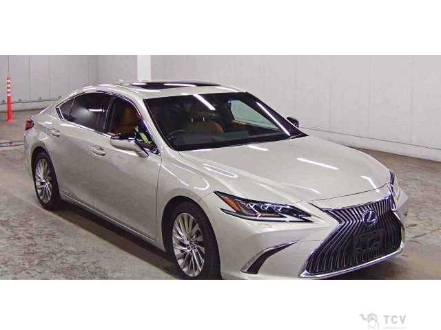 2019 Lexus ES