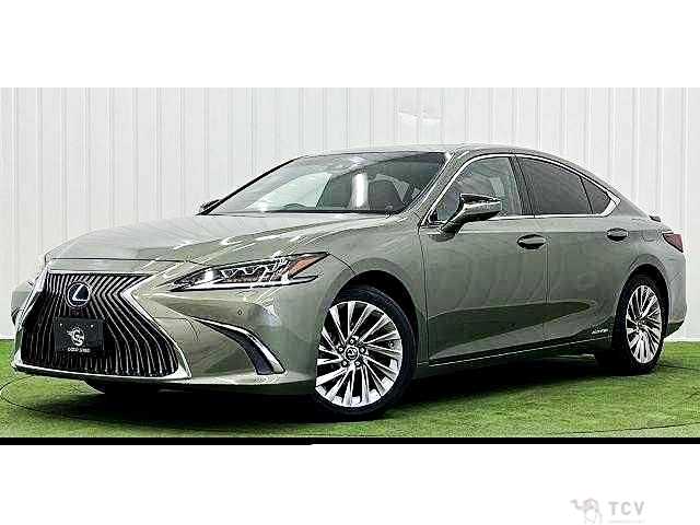 2019 Lexus ES