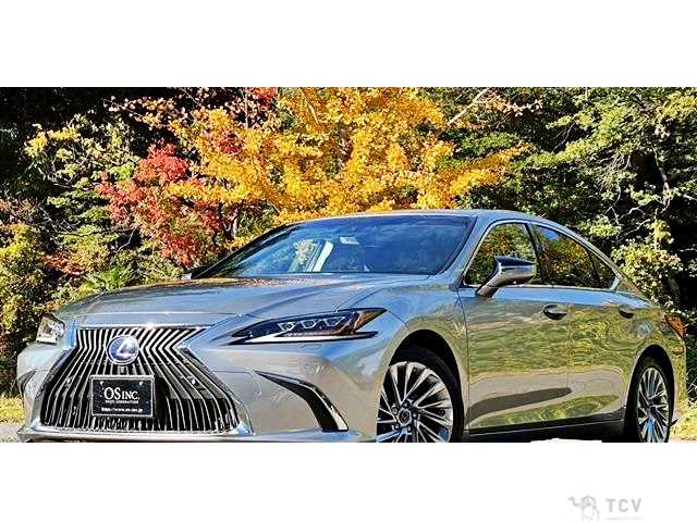 2019 Lexus ES