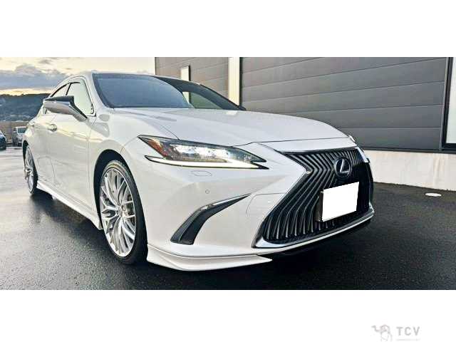 2019 Lexus ES