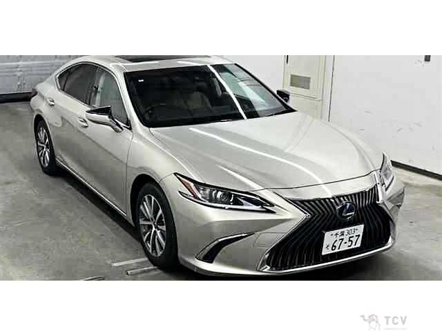 2019 Lexus ES