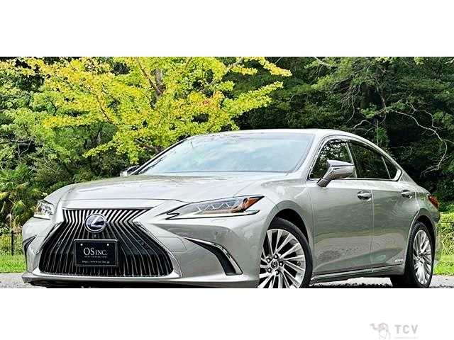 2019 Lexus ES