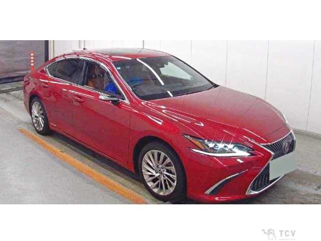 2019 Lexus ES