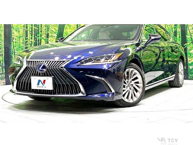 2019 Lexus ES