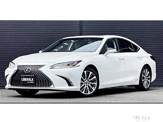 2019 Lexus ES